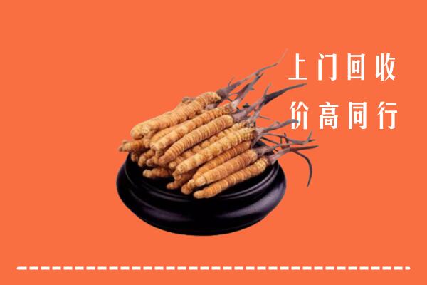 高价求购：庆阳市环县区回收散虫草