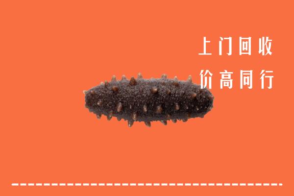 高价求购：庆阳市环县区回收海参